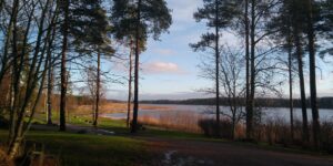 IMG 20201122 104047